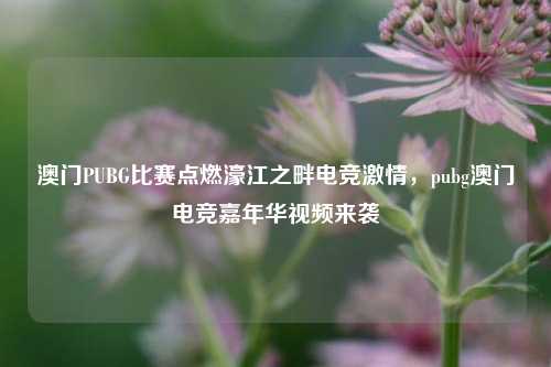 澳门PUBG比赛点燃濠江之畔电竞激情，pubg澳门电竞嘉年华视频来袭