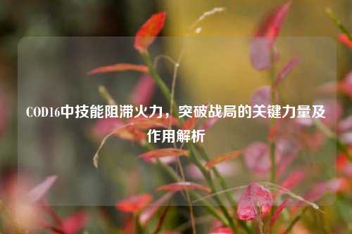 COD16中技能阻滞火力,突破战局的关键力量及作用解析
