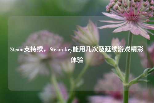 Steam支持续,Steam key能用几次及延续游戏精彩体验