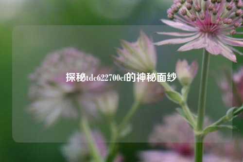 探秘tdc622700cf的神秘面纱