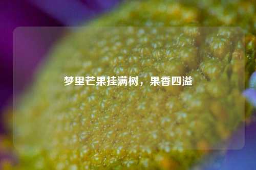 梦里芒果挂满树,果香四溢