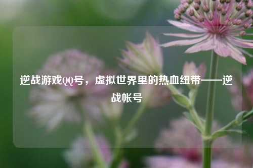 逆战游戏QQ号，虚拟世界里的热血纽带——逆战帐号
