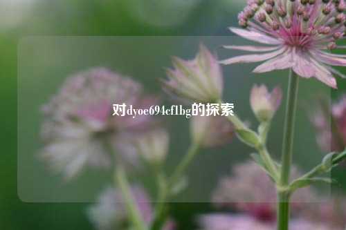 对dyoe694cf1bg的探索