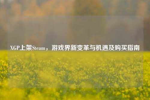 XGP上架Steam，游戏界新变革与机遇及购买指南