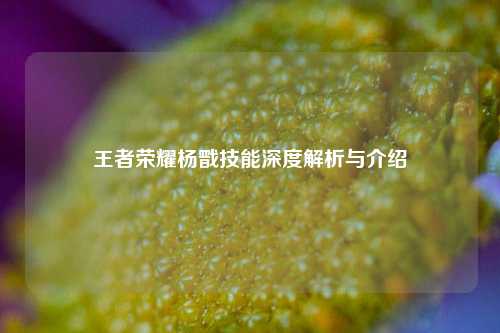 王者荣耀杨戬技能深度解析与介绍