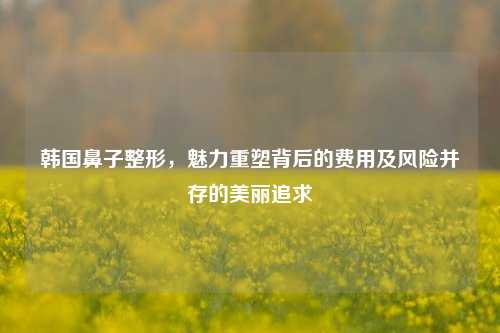 韩国鼻子整形,魅力重塑背后的费用及风险并存的美丽追求