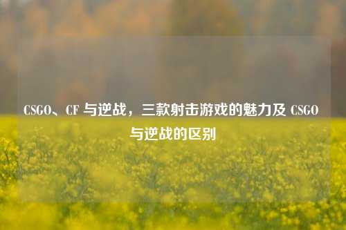 CSGO、CF 与逆战,三款射击游戏的魅力及 CSGO 与逆战的区别