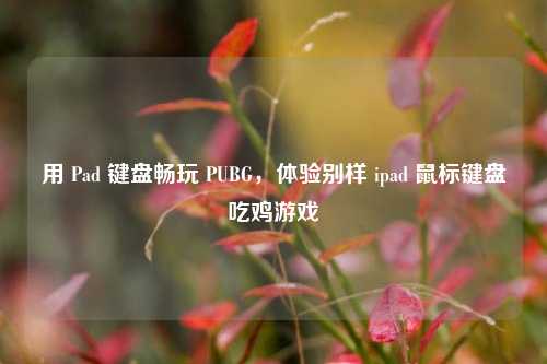 用 Pad 键盘畅玩 PUBG，体验别样 ipad 鼠标键盘吃鸡游戏