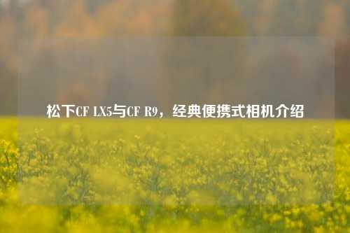 松下CF LX5与CF R9，经典便携式相机介绍