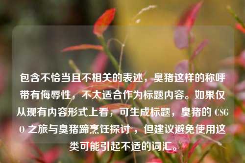包含不恰当且不相关的表述,臭猪这样的称呼带有侮辱性,不太适合作为标题内容。如果仅从现有内容形式上看,可生成标题,臭猪的 CSGO 之旅与臭猪蹄烹饪探讨 ,但建议避免使用这类可能引起不适的词汇。