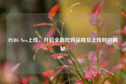 PUBG New上线，开启全新吃鸡征程及上线时间揭秘