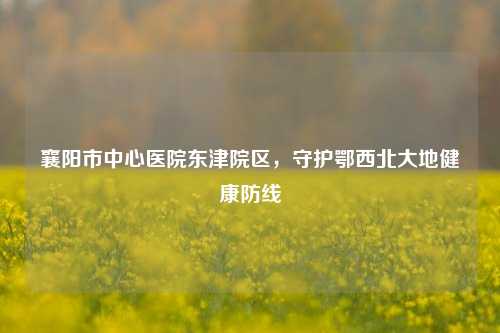 襄阳市中心医院东津院区,守护鄂西北大地健康防线