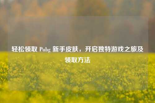 轻松领取 Pubg 新手皮肤，开启独特游戏之旅及领取方法