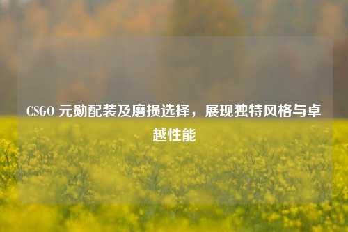 CSGO 元勋配装及磨损选择,展现独特风格与卓越性能