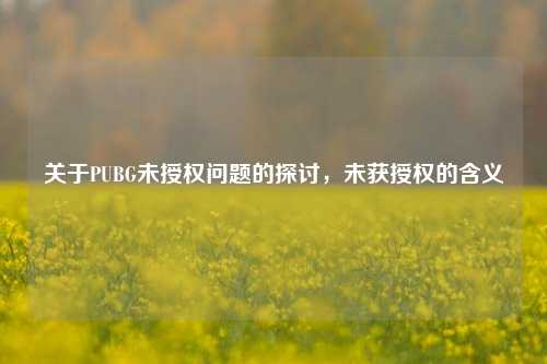 关于PUBG未授权问题的探讨，未获授权的含义
