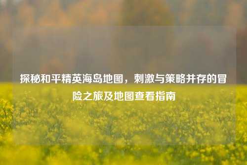 探秘和平精英海岛地图,刺激与策略并存的冒险之旅及地图查看指南