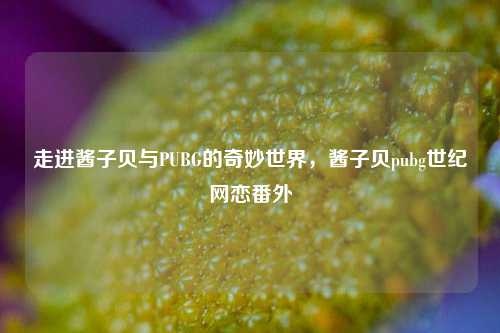 走进酱子贝与PUBG的奇妙世界，酱子贝pubg世纪网恋番外