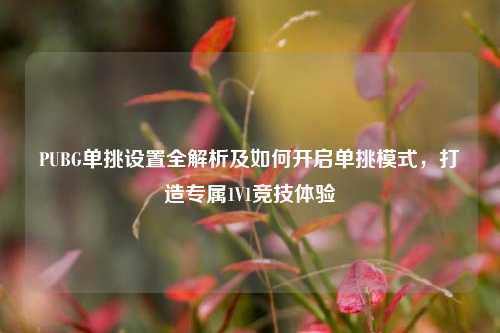 PUBG单挑设置全解析及如何开启单挑模式,打造专属1V1竞技体验