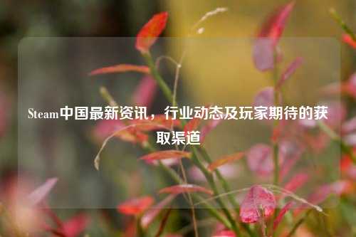 Steam中国最新资讯,行业动态及玩家期待的获取渠道