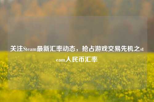 关注Steam最新汇率动态,抢占游戏交易先机之steam人民币汇率