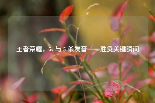 王者荣耀，5s 与 5 杀发音——胜负关键瞬间