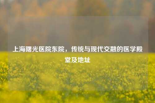 上海曙光医院东院,传统与现代交融的医学殿堂及地址
