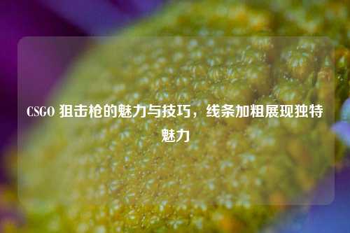 CSGO 狙击枪的魅力与技巧，线条加粗展现独特魅力