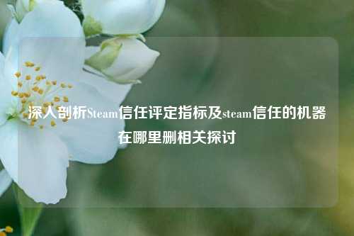 深入剖析Steam信任评定指标及steam信任的机器在哪里删相关探讨