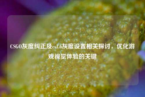 CSGO灰度纠正及cs1.6灰度设置相关探讨，优化游戏视觉体验的关键