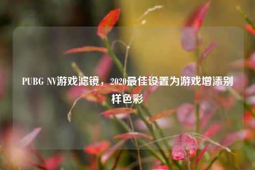 PUBG NV游戏滤镜,2020最佳设置为游戏增添别样色彩