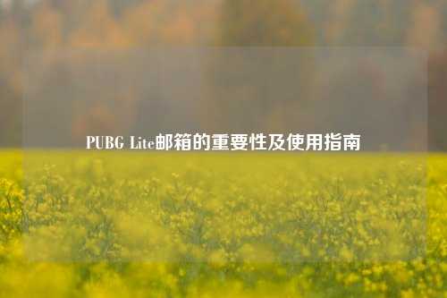 PUBG Lite邮箱的重要性及使用指南