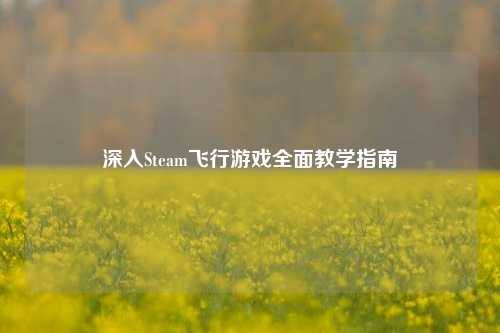 深入Steam飞行游戏全面教学指南