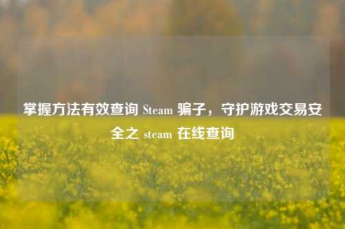 掌握方法有效查询 Steam 骗子，守护游戏交易安全之 steam 在线查询