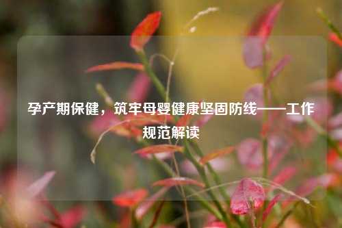 孕产期保健，筑牢母婴健康坚固防线——工作规范解读