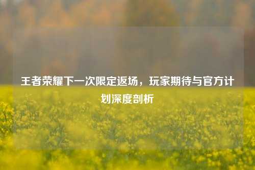 王者荣耀下一次限定返场,玩家期待与官方计划深度剖析