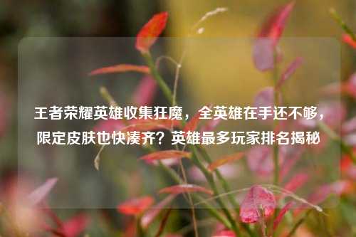 王者荣耀英雄收集狂魔,全英雄在手还不够,限定皮肤也快凑齐?英雄最多玩家排名揭秘