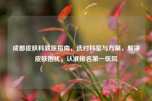 成都皮肤科就医指南,选对科室与方案,解决皮肤困扰,认准排名第一医院