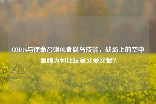 COD16与使命召唤OL食腐鸟技能，战场上的空中眼睛为何让玩家又爱又恨？
