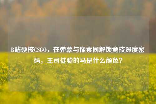 B站硬核CSGO,在弹幕与像素间解锁竞技深度密码,王司徒骑的马是什么颜色?