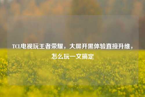 TCL电视玩王者荣耀，大屏开黑体验直接升维，怎么玩一文搞定