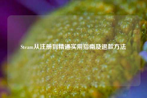 Steam从注册到精通实用指南及退款方法