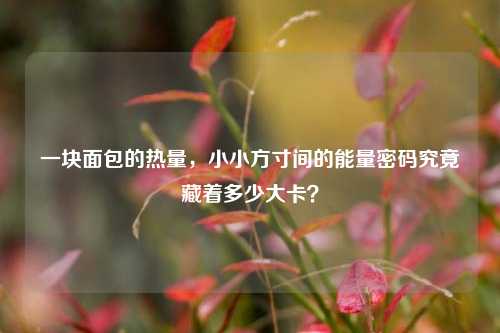 一块面包的热量,小小方寸间的能量密码究竟藏着多少大卡?