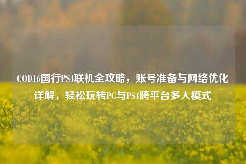 COD16国行PS4联机全攻略，账号准备与网络优化详解，轻松玩转PC与PS4跨平台多人模式