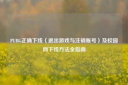 PUBG正确下线(退出游戏与注销账号)及校园网下线方法全指南