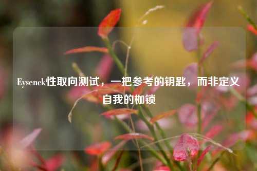 Eysenck性取向测试,一把参考的钥匙,而非定义自我的枷锁