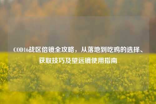 COD16战区倍镜全攻略,从落地到吃鸡的选择、获取技巧及望远镜使用指南