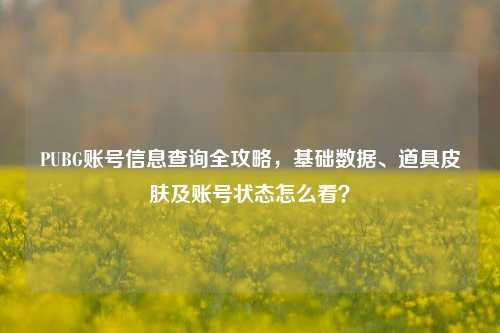 PUBG账号信息查询全攻略，基础数据、道具皮肤及账号状态怎么看？