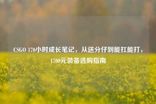 CSGO 170小时成长笔记，从送分仔到能扛能打，1700元装备选购指南