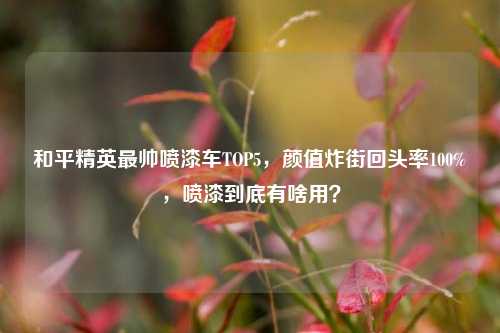 和平精英最帅喷漆车TOP5，颜值炸街回头率100%，喷漆到底有啥用？