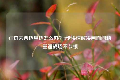 CF进去两边黑边怎么办？3步快速解决画面问题重返战场不卡顿